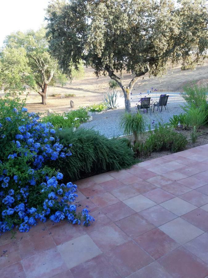 Monte Novo Da Sobreira, Rust En Ruimte In Zuid Alentejo Διαμέρισμα Ourique Εξωτερικό φωτογραφία